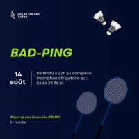 Soirée badminton tennis de table mercredi 14 août 2024